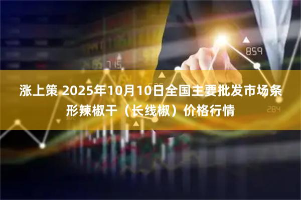 涨上策 2025年10月10日全国主要批发市场条形辣椒干（长线椒）价格行情