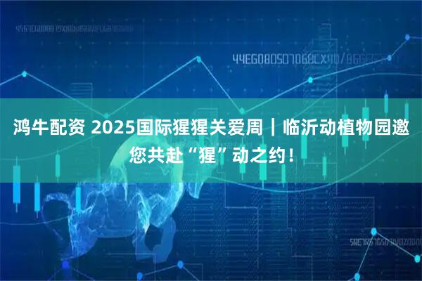 鸿牛配资 2025国际猩猩关爱周｜临沂动植物园邀您共赴“猩”动之约！